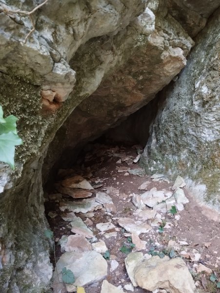 Grapine 2 (vue de près)
Fichier manquant